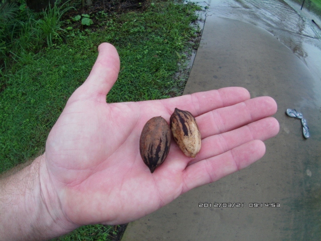 ATC_0040 (640x480).jpg