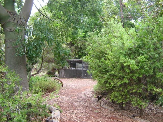 Assorted photos 2010 014 (Small).jpg