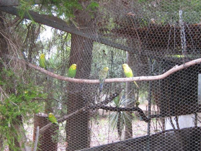 Assorted photos 2010 017 (Small).jpg