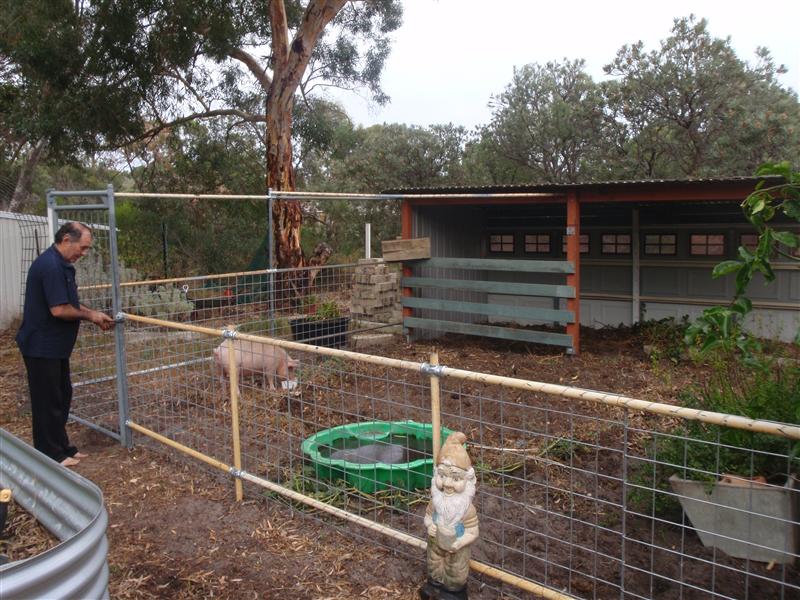 P4260061 (Custom).JPG