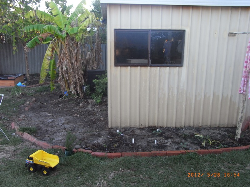 backyard_280512 007resize.jpg