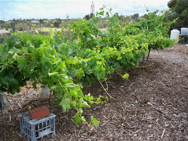 100_0287 (Small).JPG