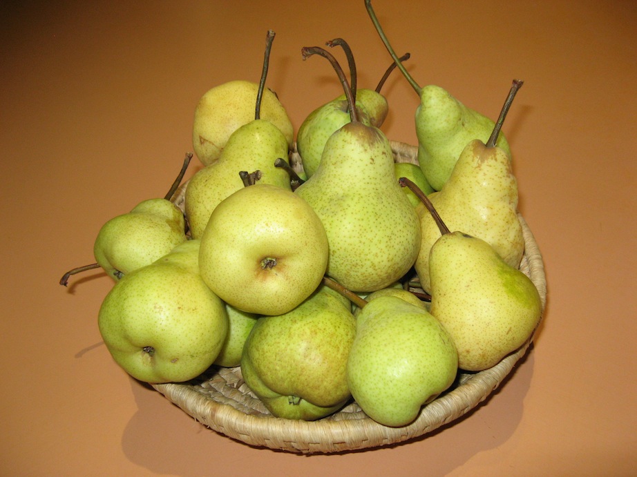 Pears.JPG