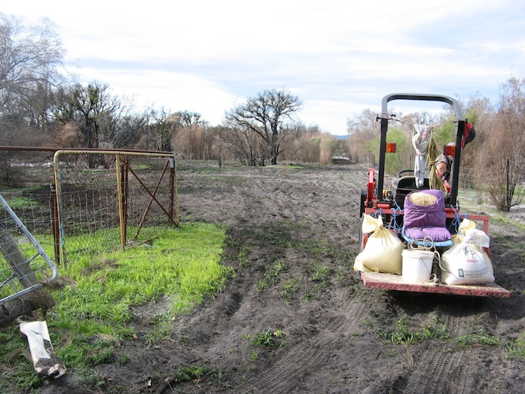 comfy seat ready on the tractor.JPG