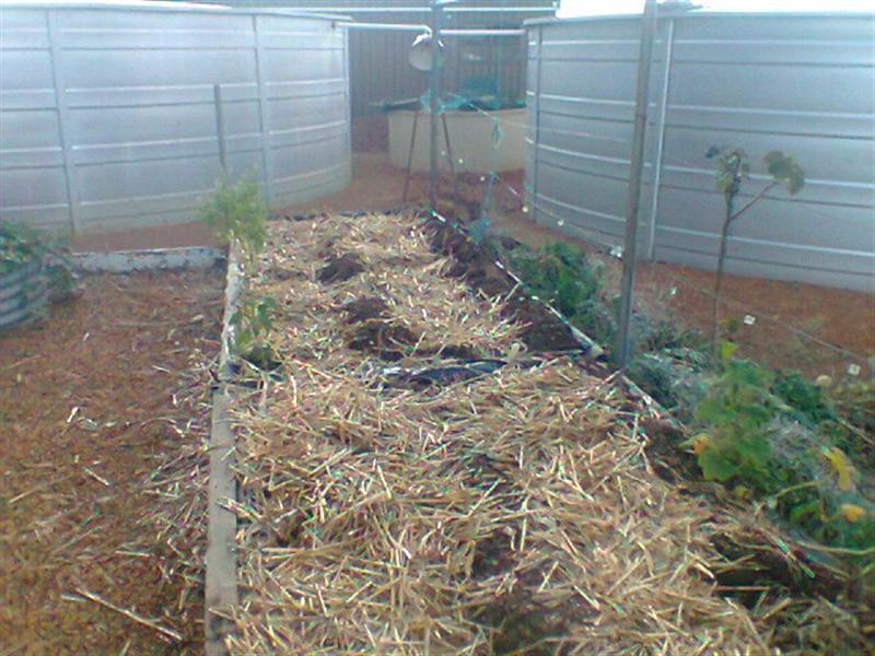 Photo0114 (Medium).jpg