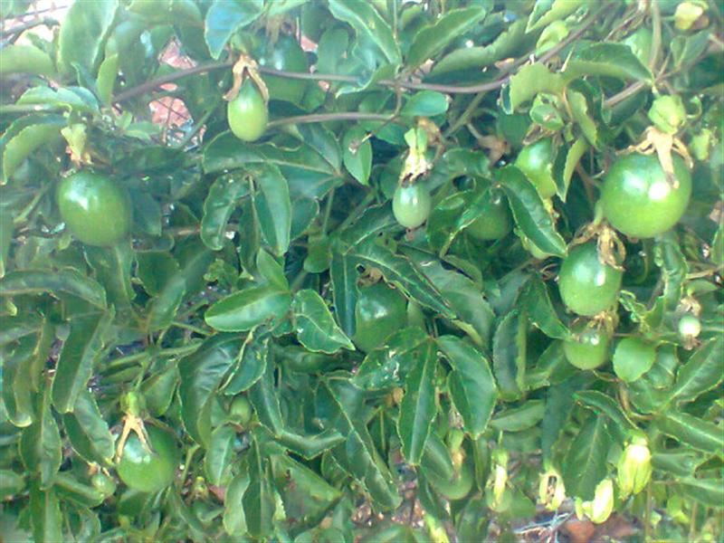 Photo0130 (Medium).jpg