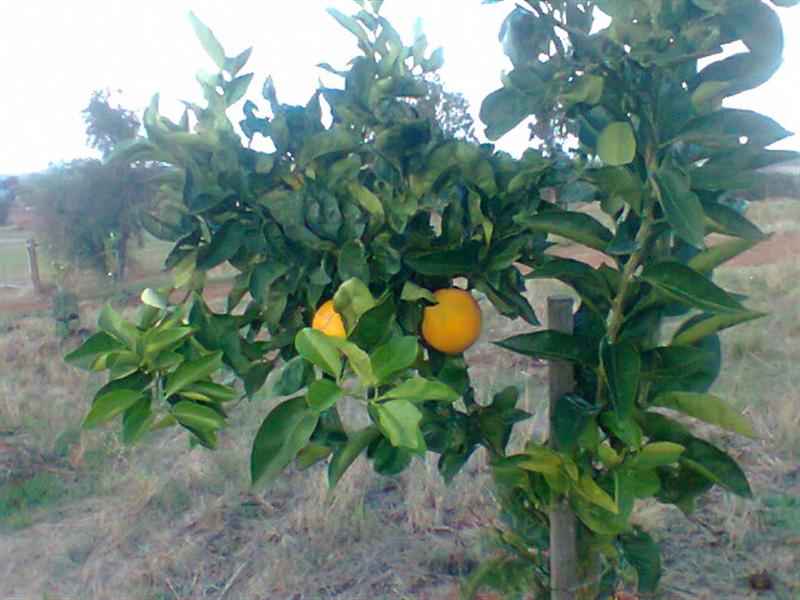 Photo0127 (Medium).jpg