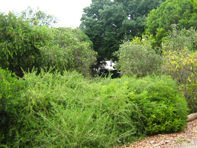 Assorted photos 2010 023 (Small).jpg