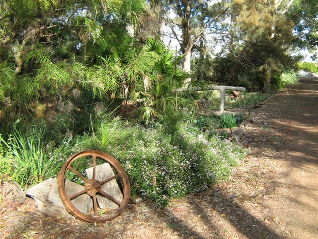 's May 2009 003 (Small).jpg