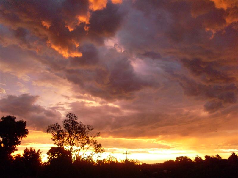 chilli 037 (Medium).JPG