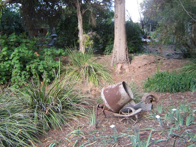 's May 2009 004 (Small).jpg