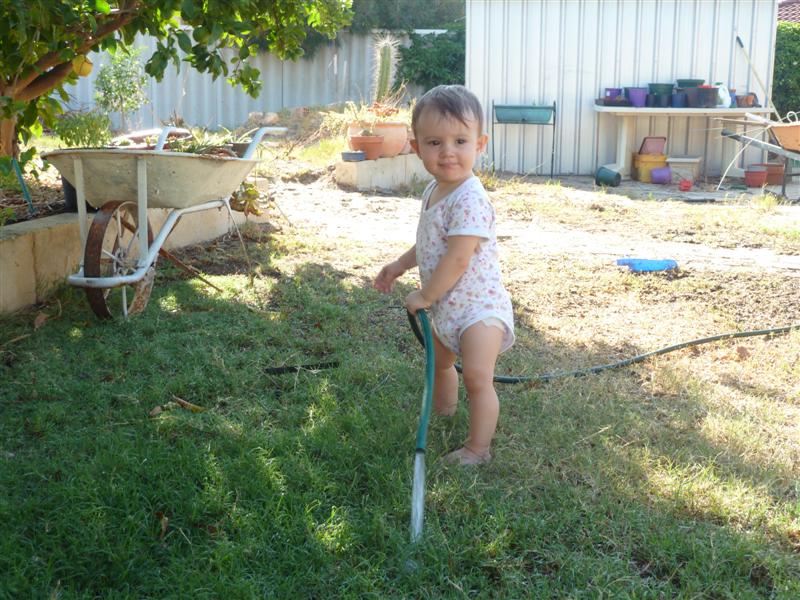 P1000999 (Medium).JPG