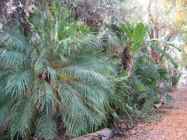 's May 2009 015 (Small).jpg