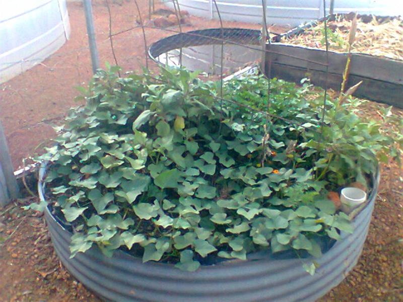 Photo0119 (Medium).jpg