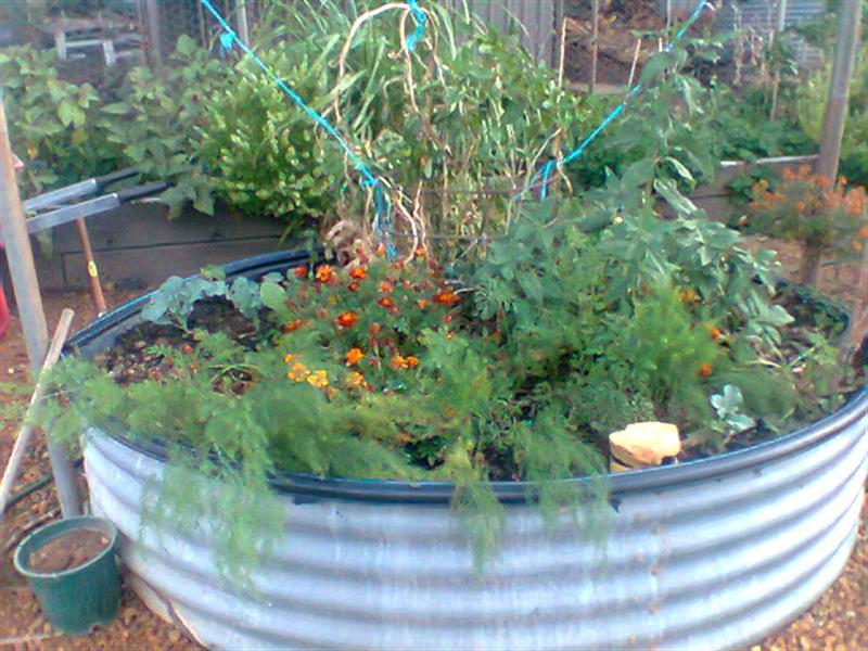 Photo0115 (Medium).jpg