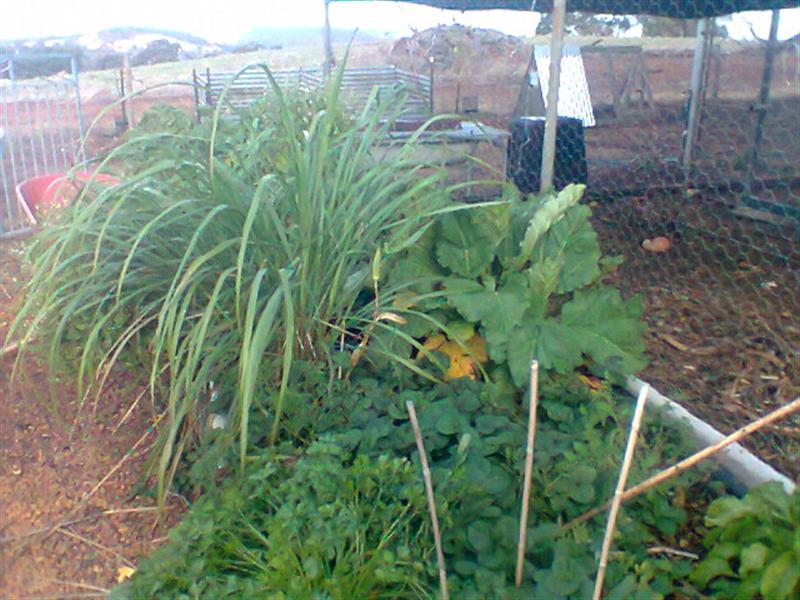 Photo0117 (Medium).jpg