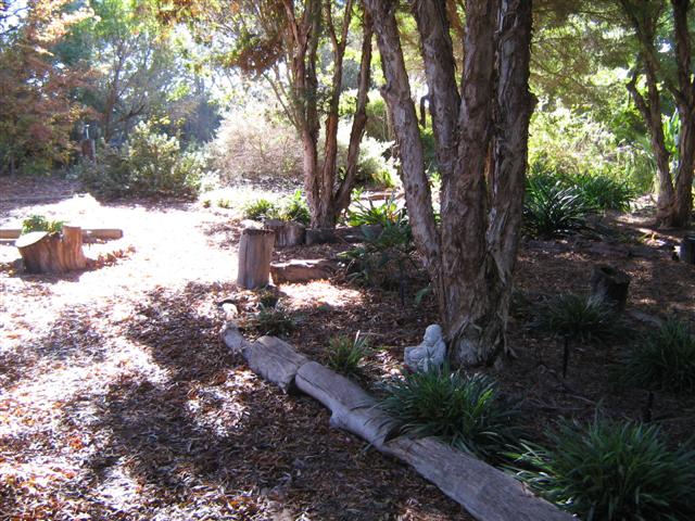 Front Garden May 2009 004 (Small).jpg