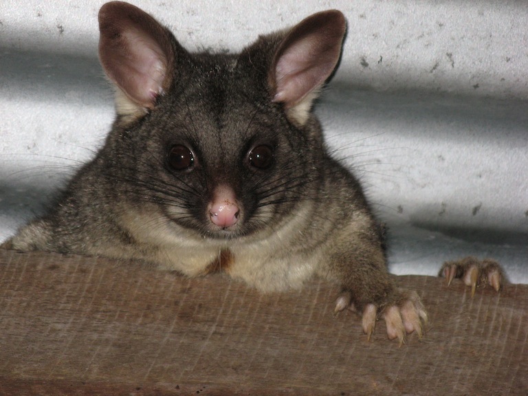 you lookin at me .JPG