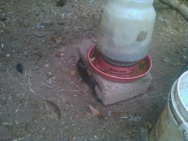 8-04-2012  what's wrong with this picture.jpg