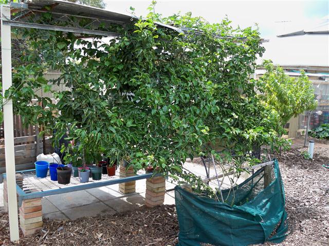 100_0290 (Small).JPG