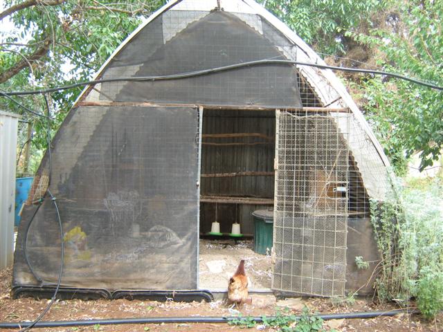 Assorted photos 2010 011 (Small).jpg