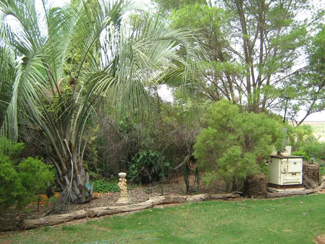 Assorted photos 2010 015 (Small).jpg