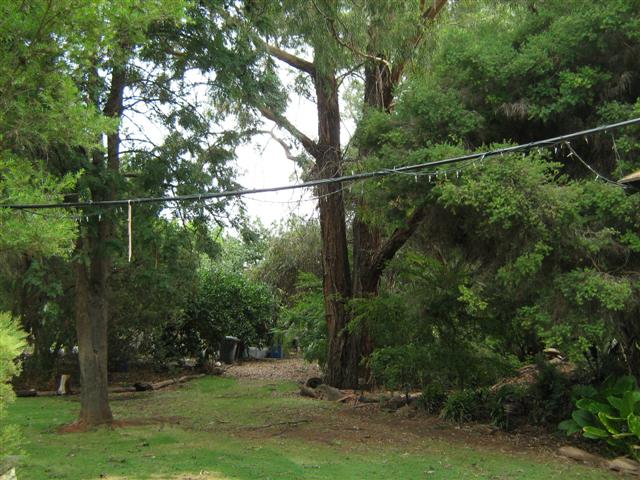 Assorted photos 2010 016 (Small).jpg