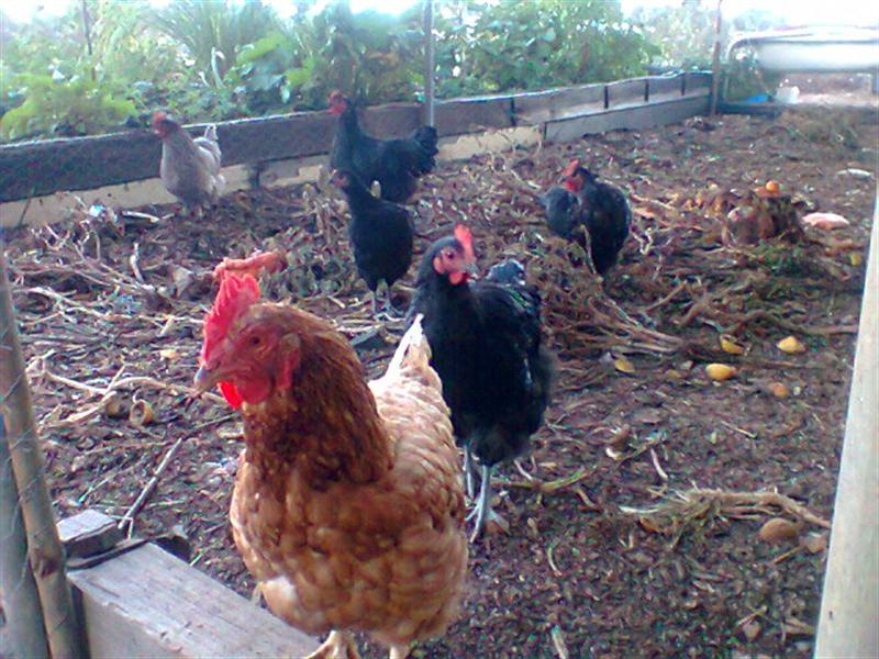 Photo0138 (Medium).jpg