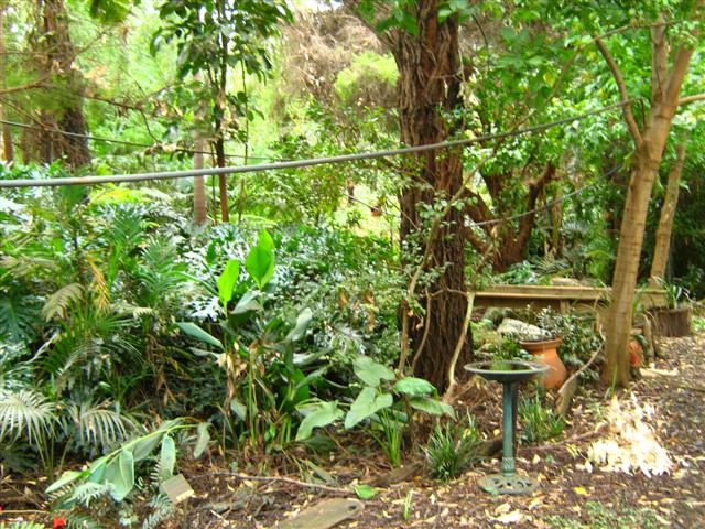 Assorted photos 2010 022 (Small).jpg