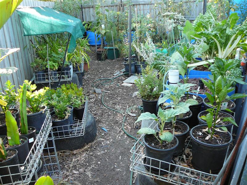 03-02-10 - BAP_BF 004 (Medium).jpg