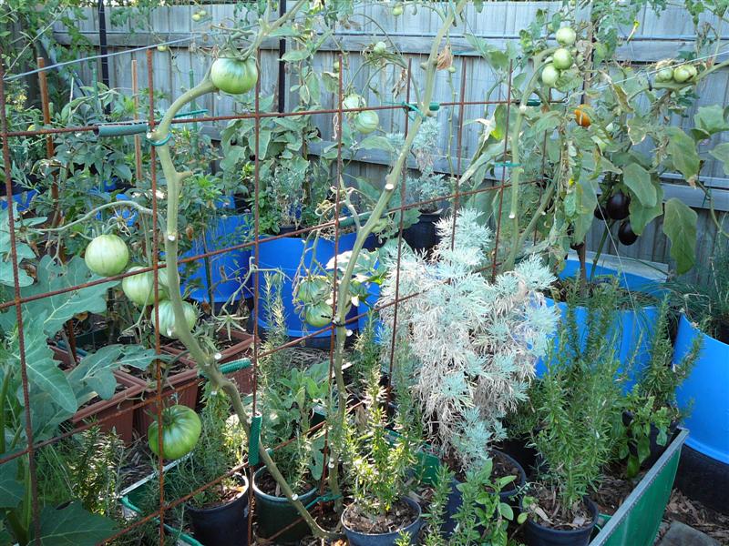 03-02-10 - BAP_BF 006 (Medium).jpg