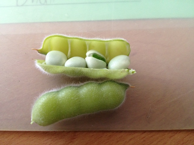 alyssas photos 309.jpg