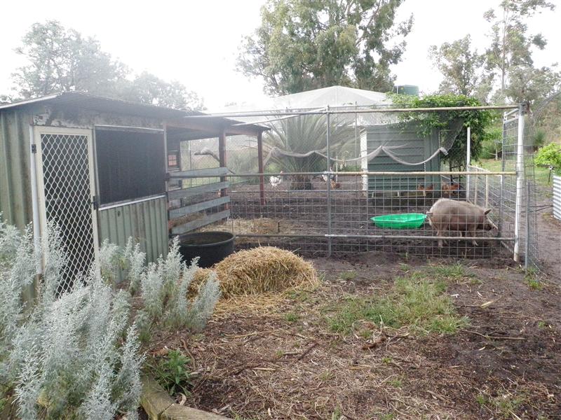 P1010453 (Custom).JPG