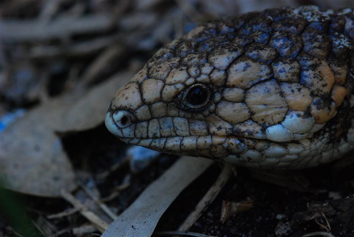 DSC_0414 (Small).JPG