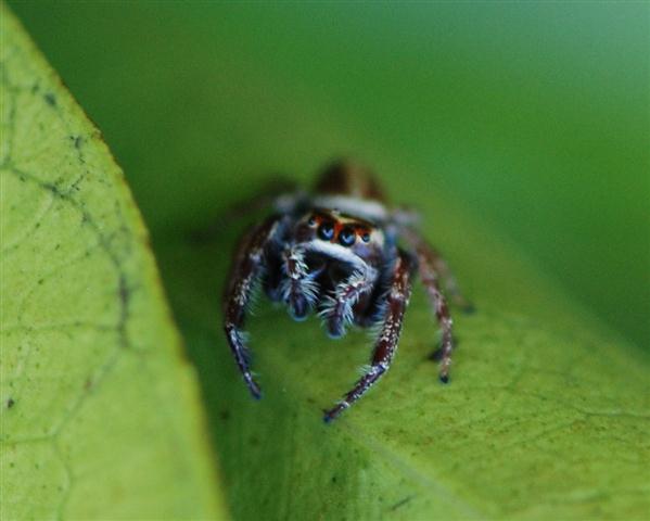 DSC_0246 R (Small).jpg