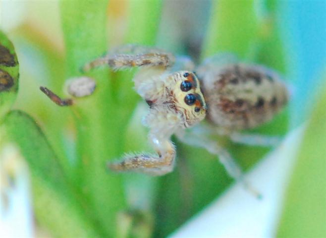 DSC_0218 R (Small).jpg