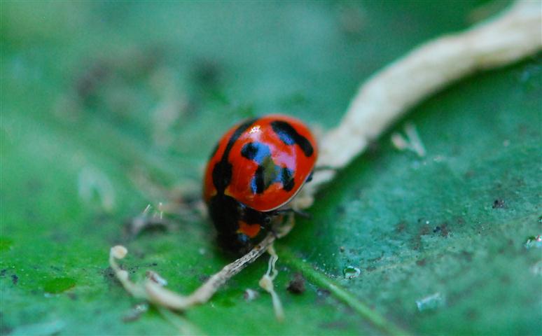 DSC_0279 R (Small).jpg