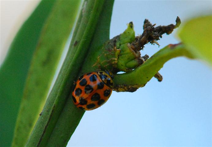 DSC_0142 R (Small).jpg