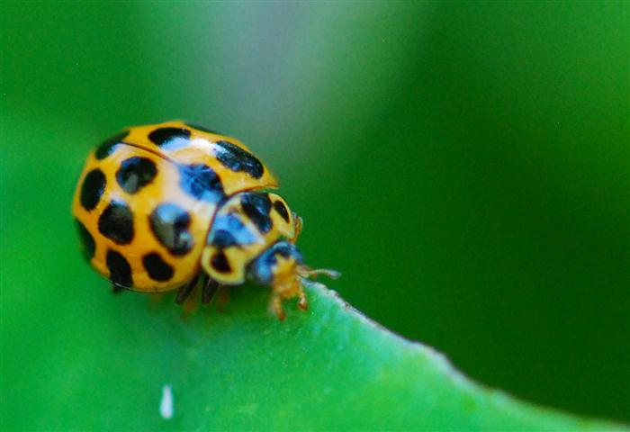 DSC_0259 R (Small).jpg