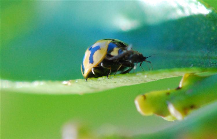 DSC_0340 R (Small).jpg