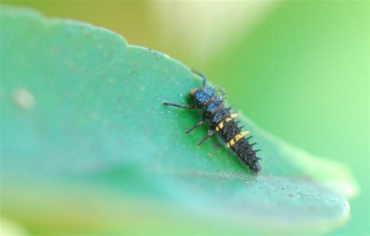 DSC_0178 R (Small).jpg