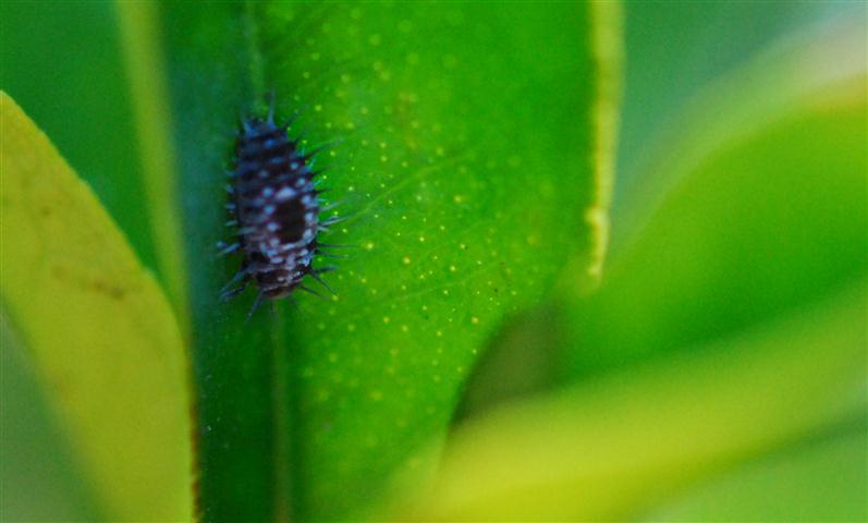 DSC_0128 R (Small).jpg