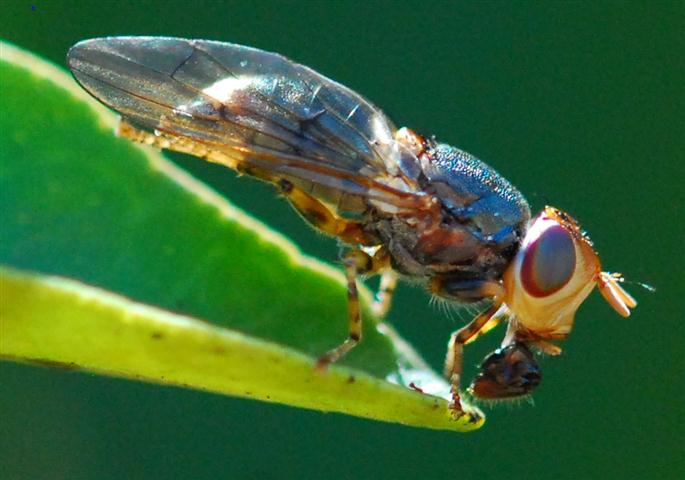 DSC_0122 R (Small).jpg