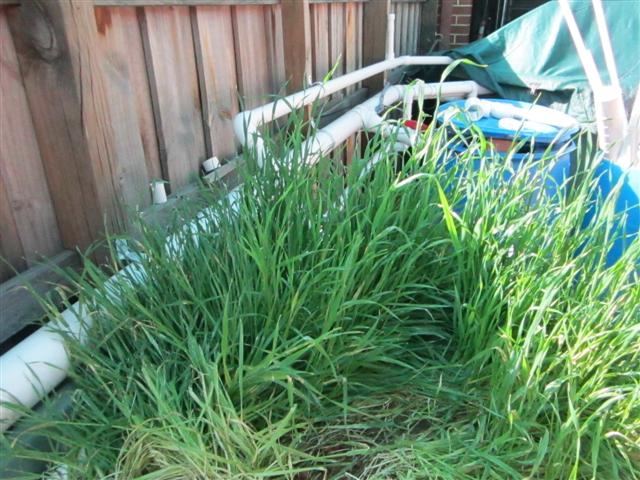 IMG_0781 (Small).jpg