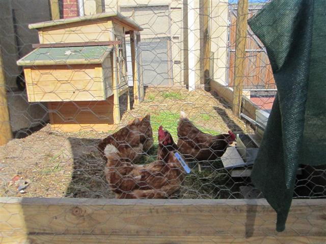 IMG_0784 (Small).jpg