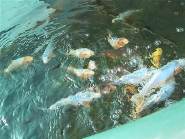 IMG_0785 (Small).jpg