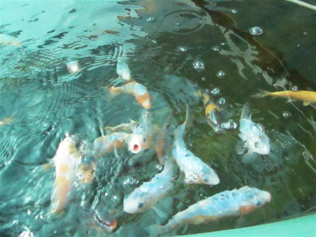 IMG_0786 (Small).jpg