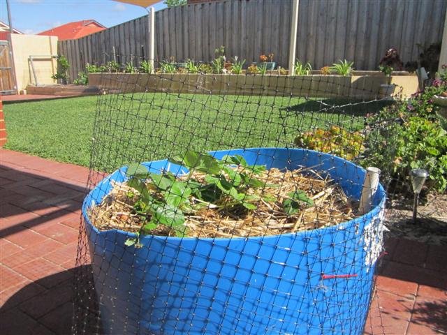 IMG_0789 (Small).jpg