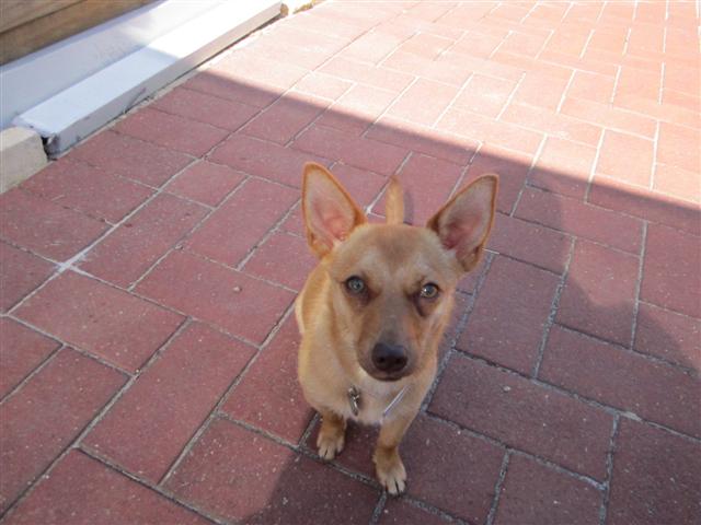 IMG_0788 (Small).jpg