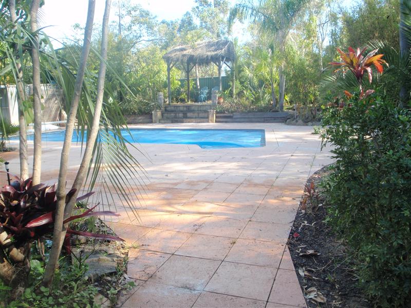 PB130071 (Custom).JPG